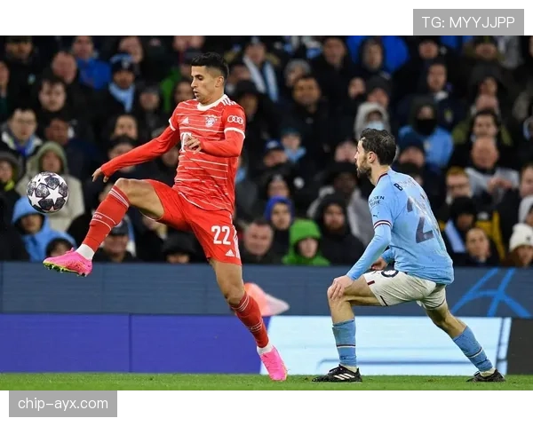 坎塞洛防守动作引争议，球迷与专家聚焦判罚合理性